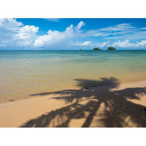 Fiji-Taveuni Island Silhouette of a palm tree on sandy beach with blue sky
